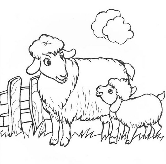 Раскраски для детей животные и их детеныши. Животное и его ребенок.