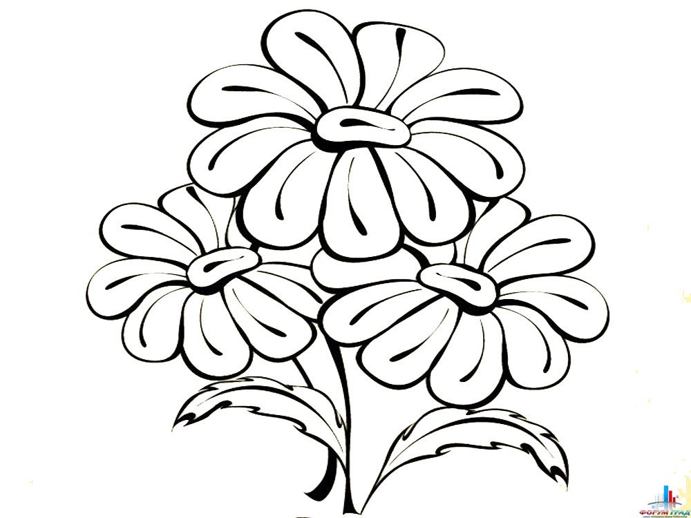 Раскраска для детей изучаем цветы. Раскрашиваем красивые цветы.