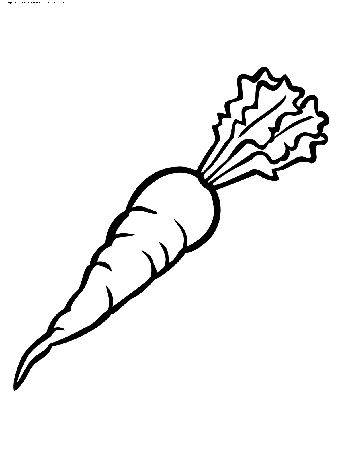 Раскраски с изображениями различных овощей. 