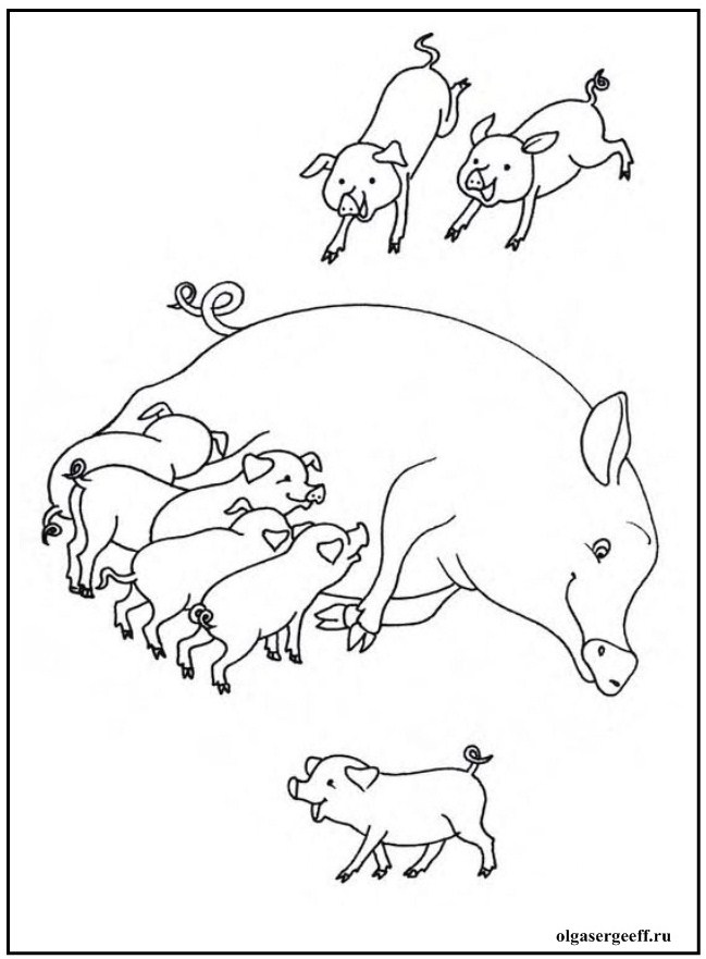 Раскраски для детей животные и их детеныши. Животное и его ребенок.