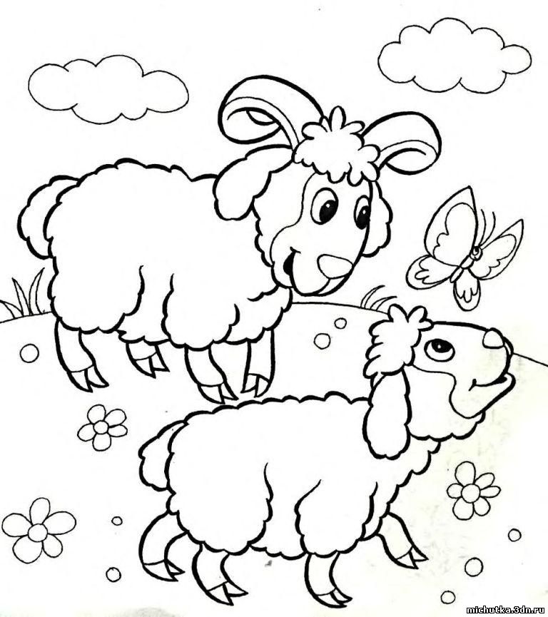 Раскраски для детей домашние животные. Наши питомцы.                      