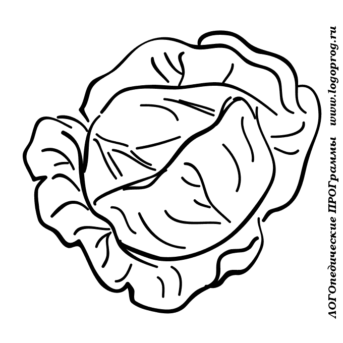 Изучаем овощи. Разукрась овощи. Раскраска для детей про овощи.