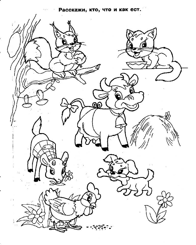 Необходимо раскрасить и запомнить картинки. Раскраски для детей.