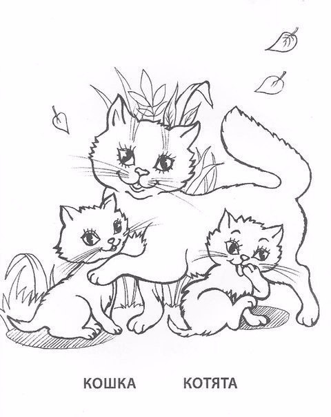 Раскраски для детей животные и их детеныши. Животное и его ребенок.