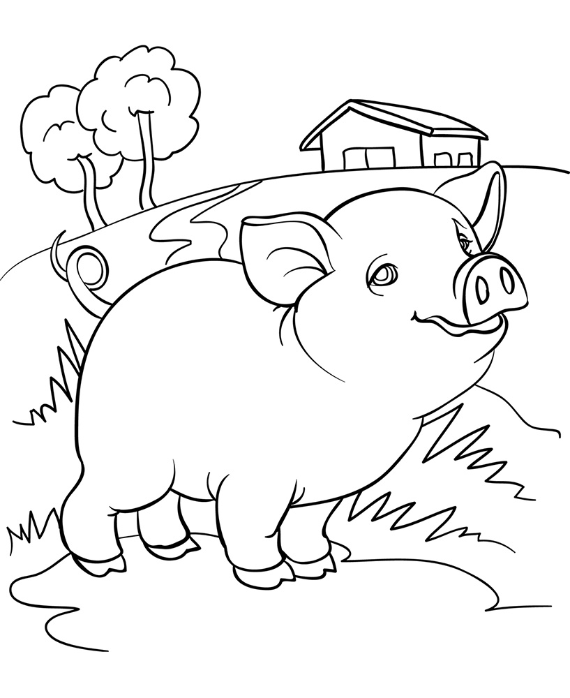 Раскраски для детей домашние животные. Наши питомцы.                      