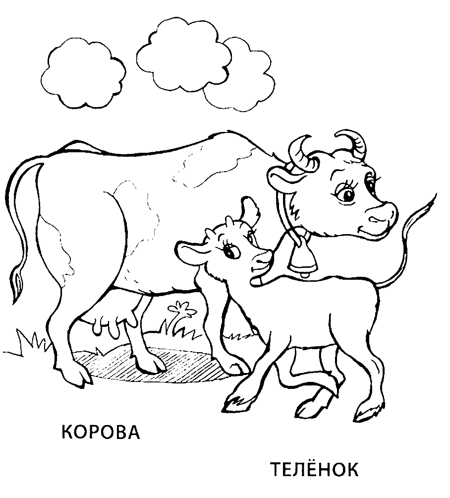 Раскраски для детей животные и их детеныши. Животное и его ребенок.