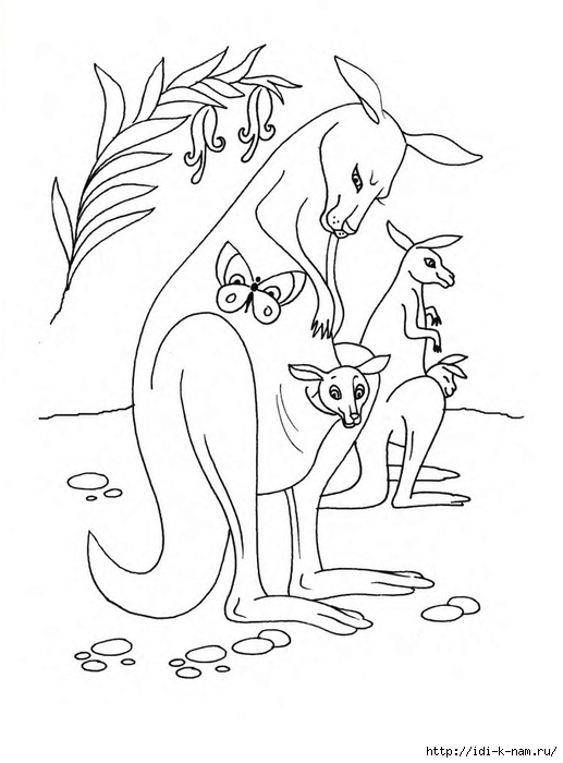 Раскраски для детей животные и их детеныши. Животное и его ребенок.