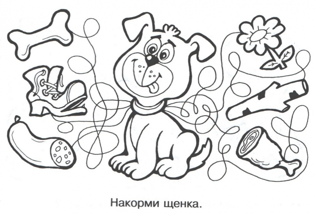 Раскраска путаница и волшебные линии. Раскраска для дошкольников.