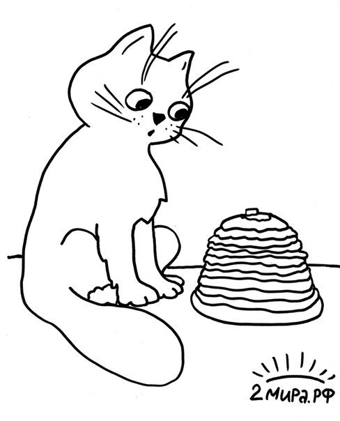 Масленица. Русский праздник. Печем блины. Уходи зима - приходи весна. 