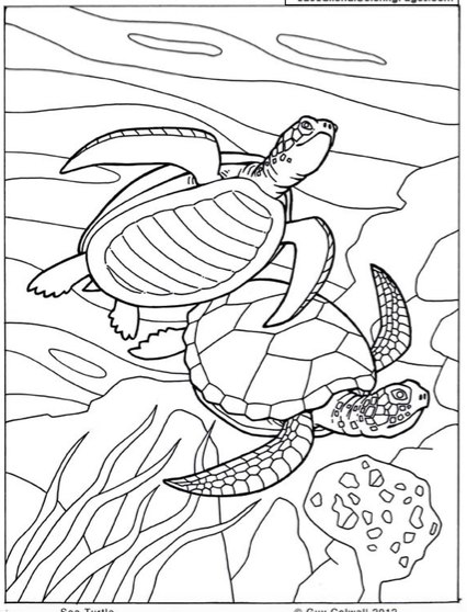 Раскраски для детей морской пейзаж. Морская вода. Морские обитатели.