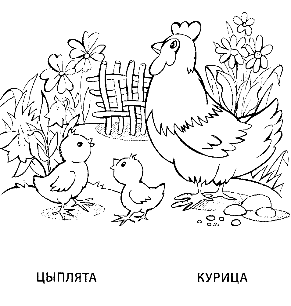 Раскраски Раскраски для детей животные и их детеныши. Животное и его ребенок. Изучаем животных и их маленьких детенышей. Кошка - котенок, собака - щенок, корова - теленок, лошадь - жеребенок. Раскрась свинью и ее детеныша поросенка.         
