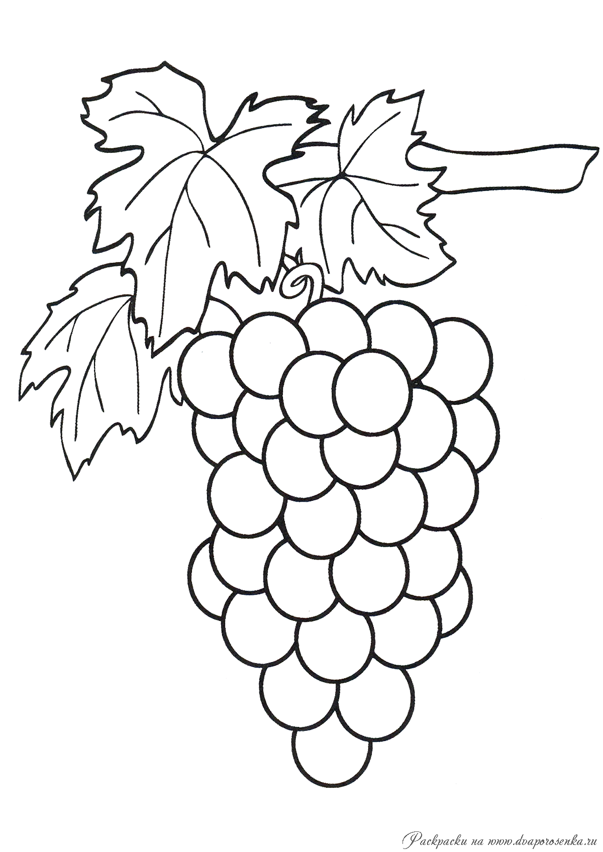 Изучаем фрукты с детьми. Раскрась фрукты. Раскраски для дошкольника.