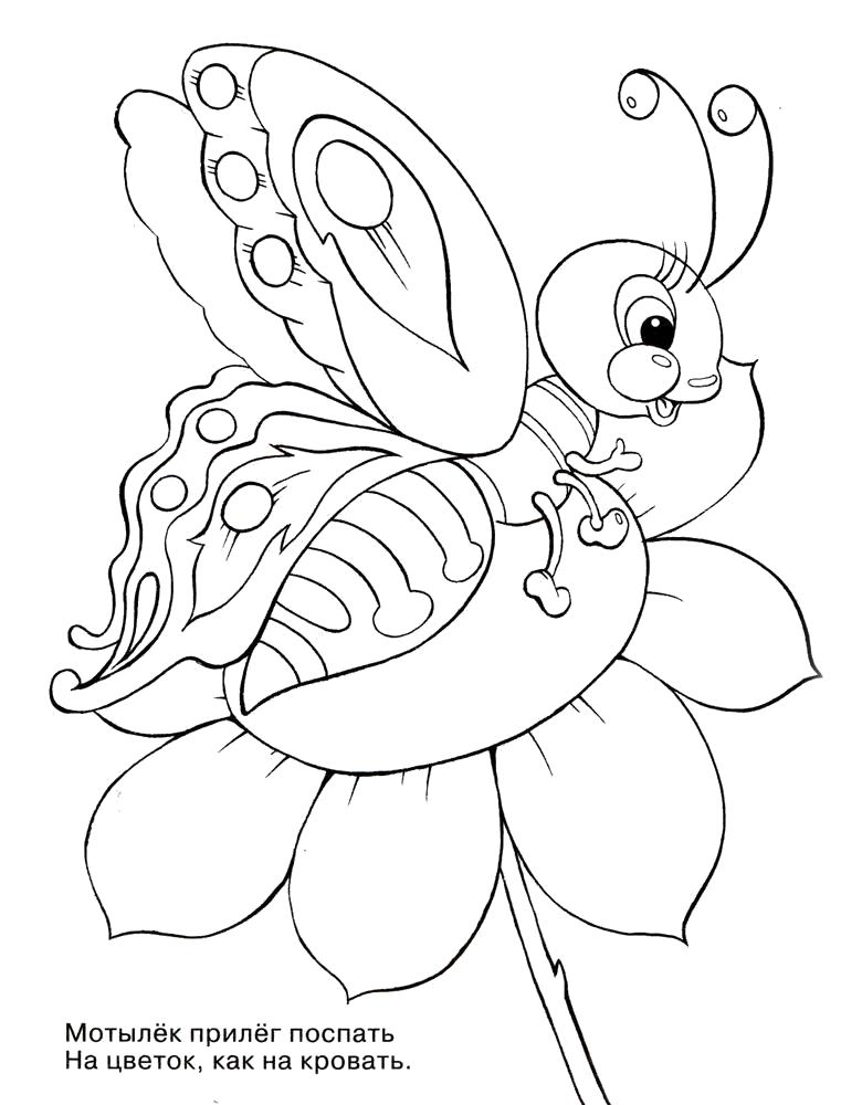 Раскраски для детей насекомые которые живут у нас во дворе. 