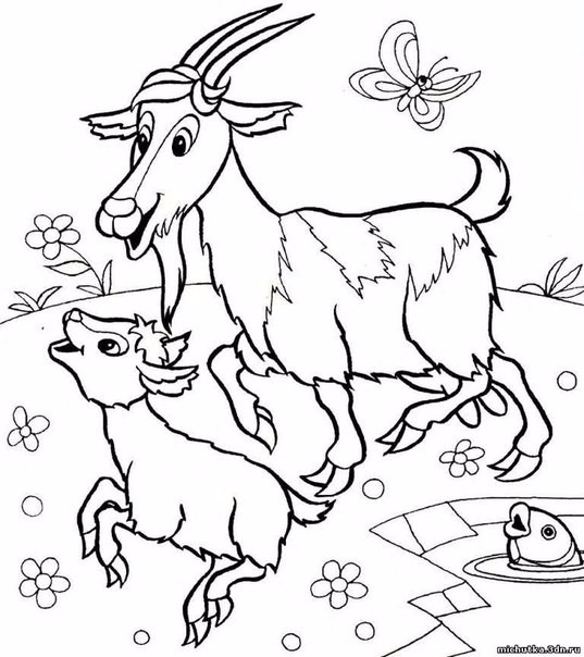 Раскраски для детей животные и их детеныши. Животное и его ребенок.