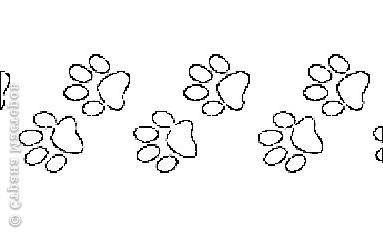 Ребенок должен раскрасить и угадать чьи следы нарисованы на раскраске