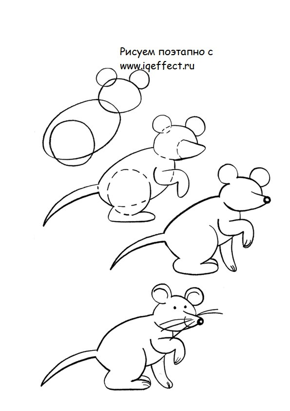Обучающая раскраска для детей уроки рисования. Рисуй поэтапно. Разукрась все ...