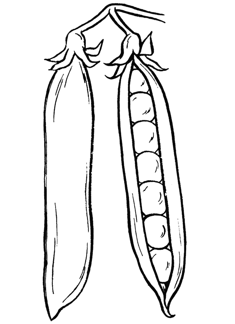 Изучаем овощи. Разукрась овощи. Раскраска для детей про овощи.