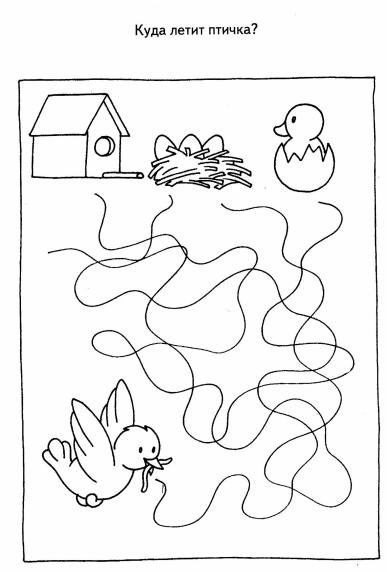 Раскраска путаница и волшебные линии. Раскраска для дошкольников.