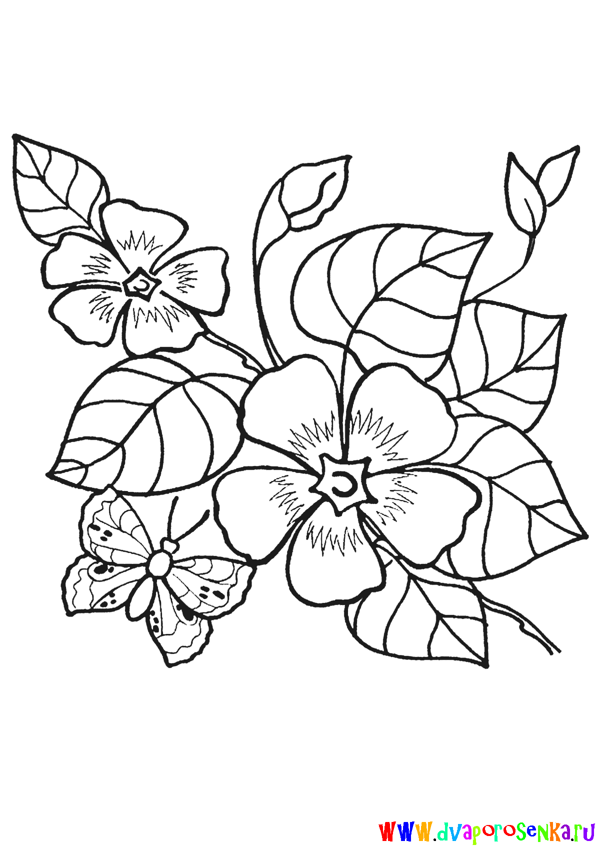 Раскраска для детей изучаем цветы. Раскрашиваем красивые цветы.