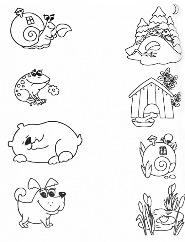 Обучающая познавательная раскраска для детей Кто Где Живет. 