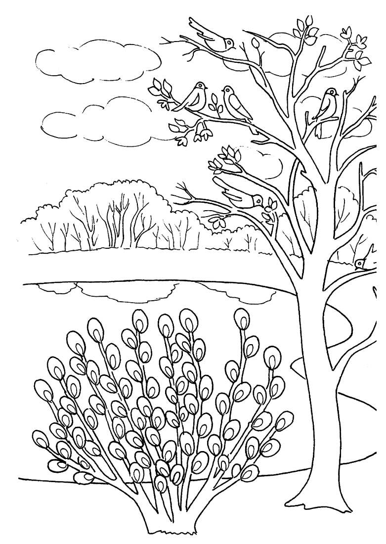 Природа вокруг нас. Раскрась красивую природу которая окружает нас.