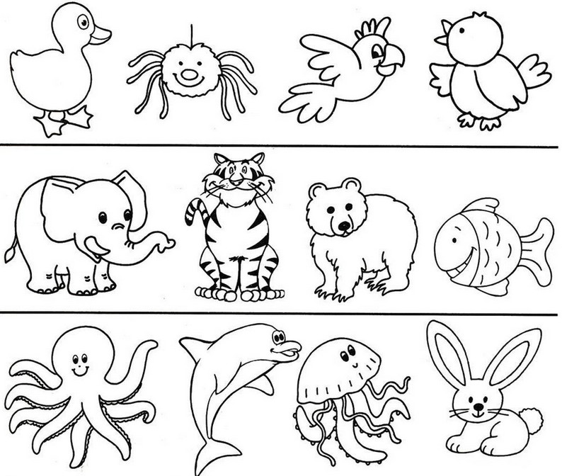 Ребенок должен найти лишний предмет из предложенных. Найди предмет. 