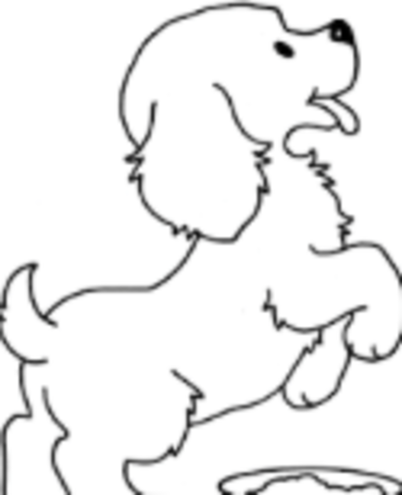 Раскраски для детей домашние животные. Наши питомцы.                      