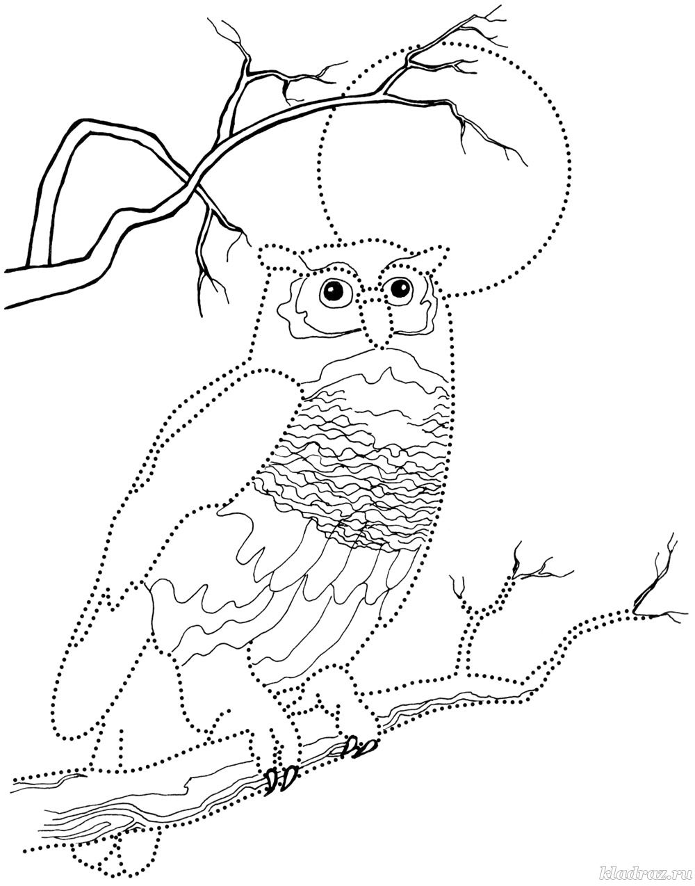 Раскраска обитатели леса. Обучающая раскраска про животных . 