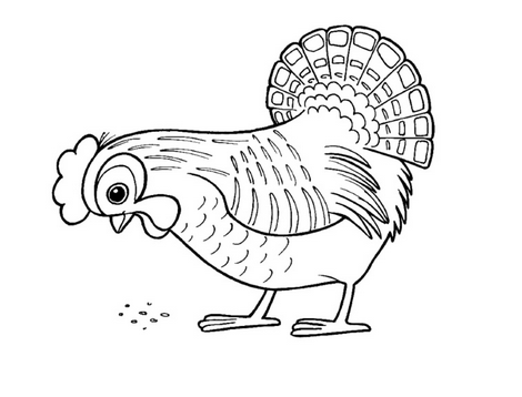 Разукрась птиц на раскрасках. Птицы на картинках. Обучающие картинки с птицами.