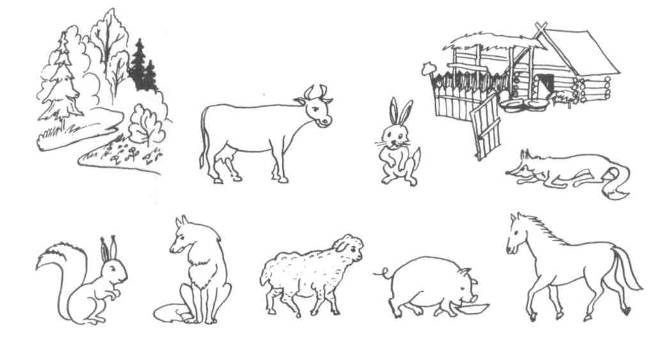 Обучающая познавательная раскраска для детей Кто Где Живет. 