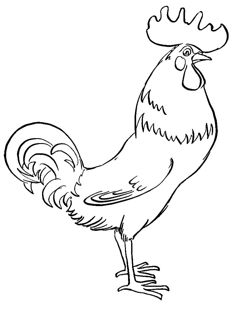 Раскраски для детей домашние и дикие птицы. Изучаем птиц.    