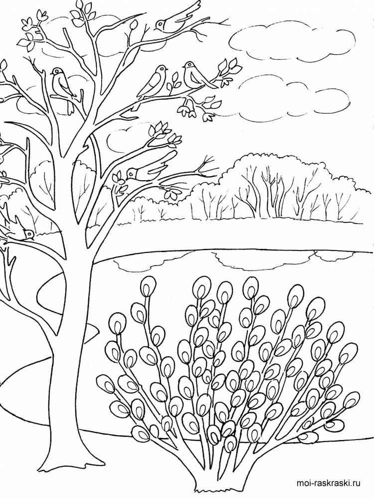 Раскраски для детей лесной пейзаж. Лес. Осень в лесу. Пейзаж.