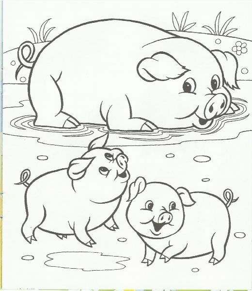 Раскраски для детей животные и их детеныши. Животное и его ребенок.
