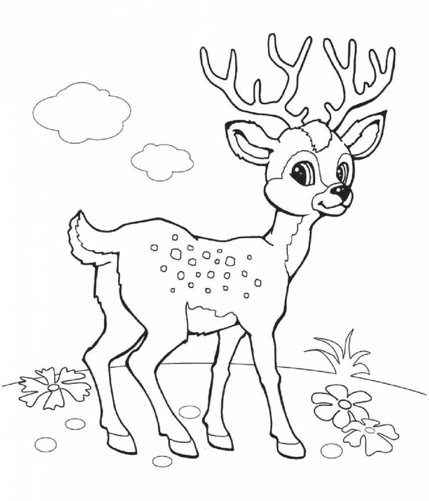 Раскраска обитатели леса. Обучающая раскраска про животных . 