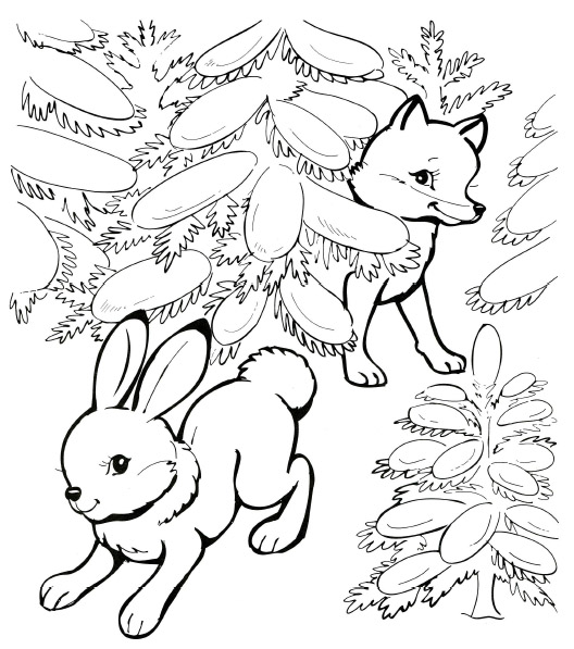 Раскраски для детей на тему зима. Зима в нашем лесу. Белый снег.