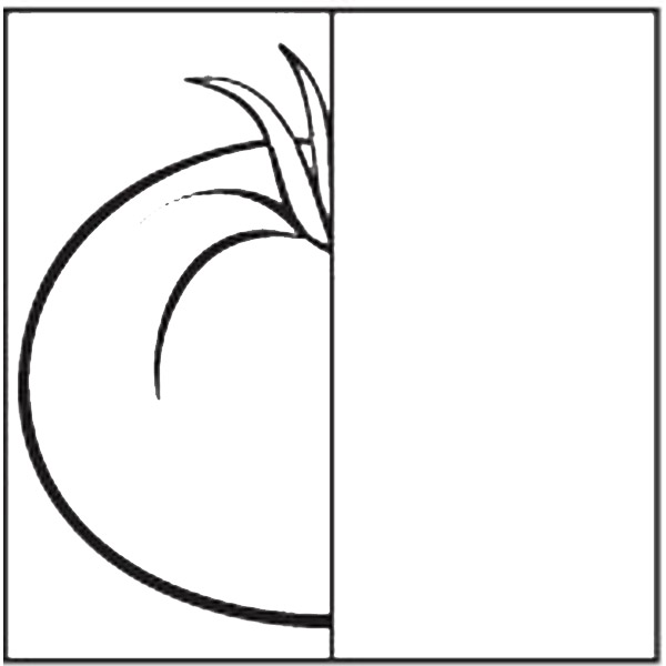 Необходимо дорисовать половину. Обучающая раскраска для детей. Половинка.