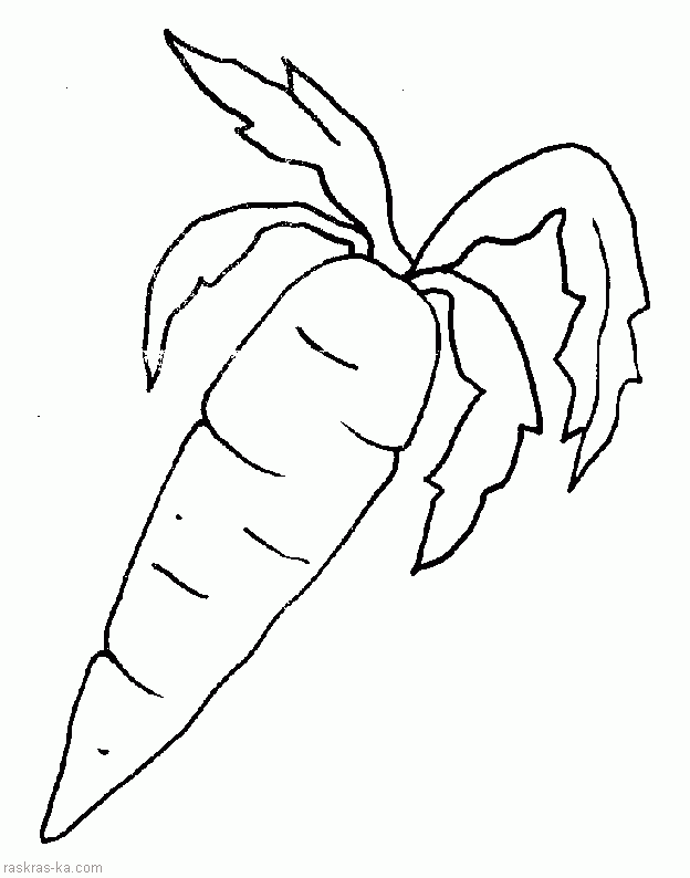 Раскраска красивой морковки для изучения овощей