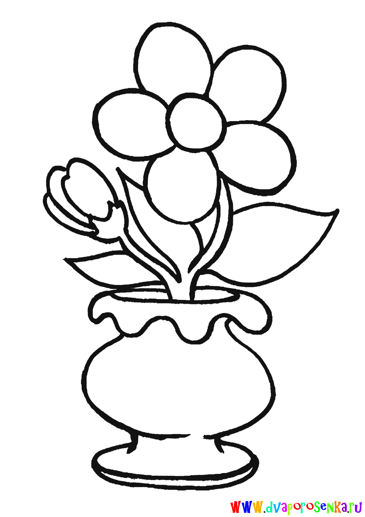 Раскраски для детей дошкольного возраста, изучаем цветы.    