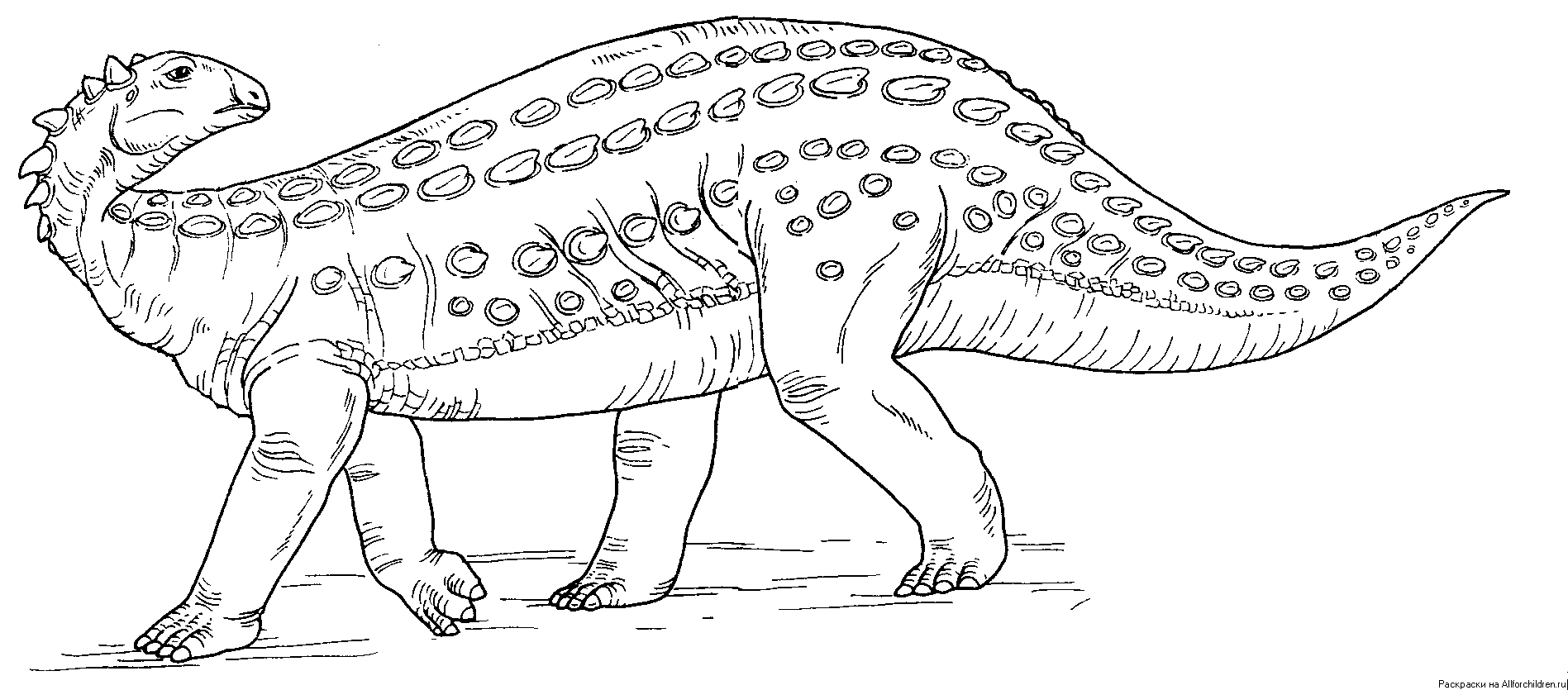 Раскраски для мальчиков про динозавров. Раскрась динозавров. 
