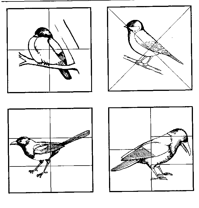 Разрезные картинки птицы картинки