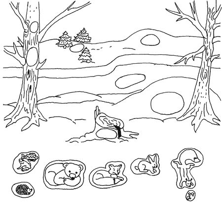 Обучающая познавательная раскраска для детей Кто Где Живет. 