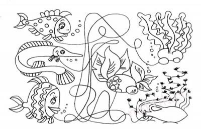 Раскраска путаница и волшебные линии. Раскраска для дошкольников.