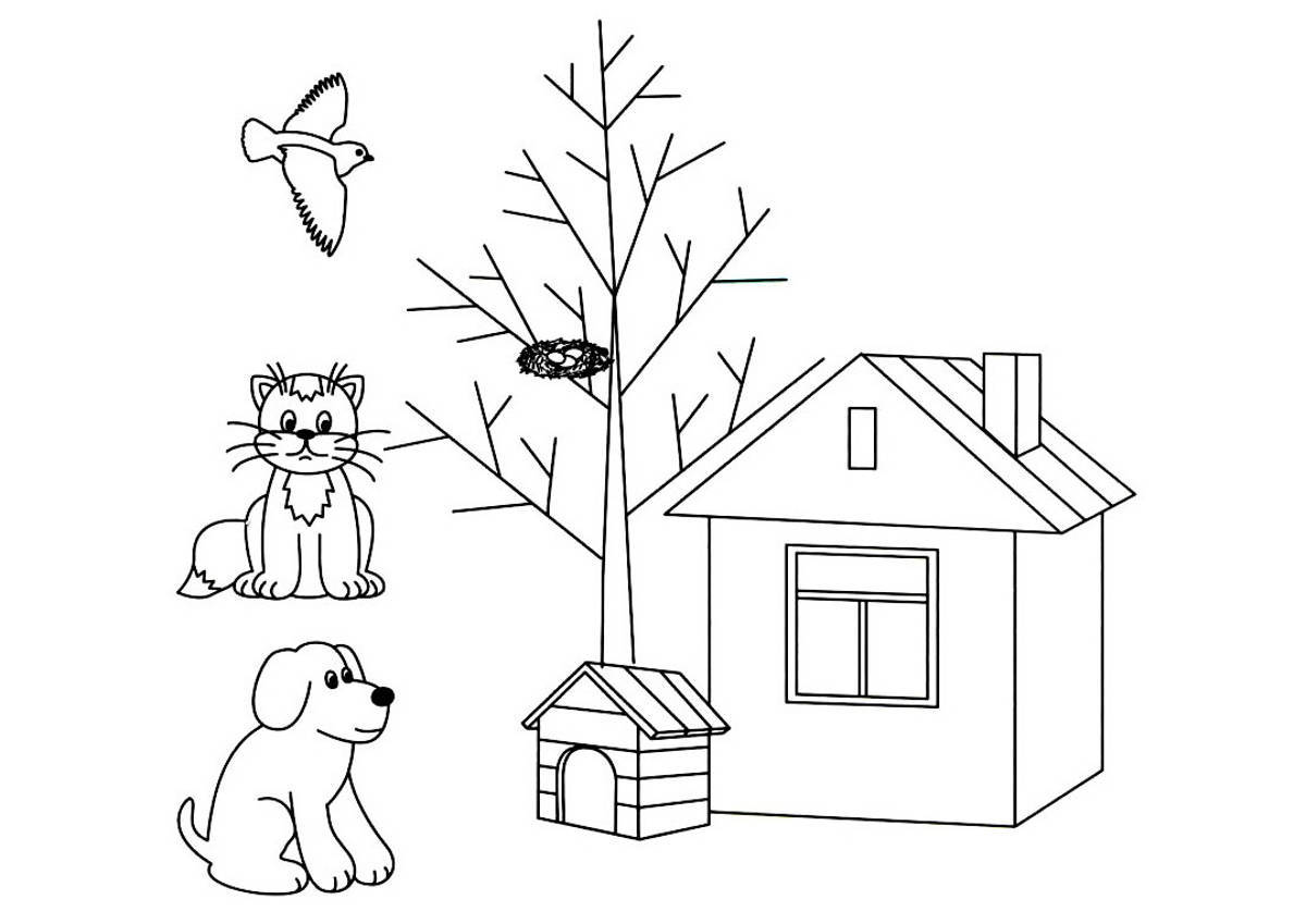 Обучающая познавательная раскраска для детей Кто Где Живет. 