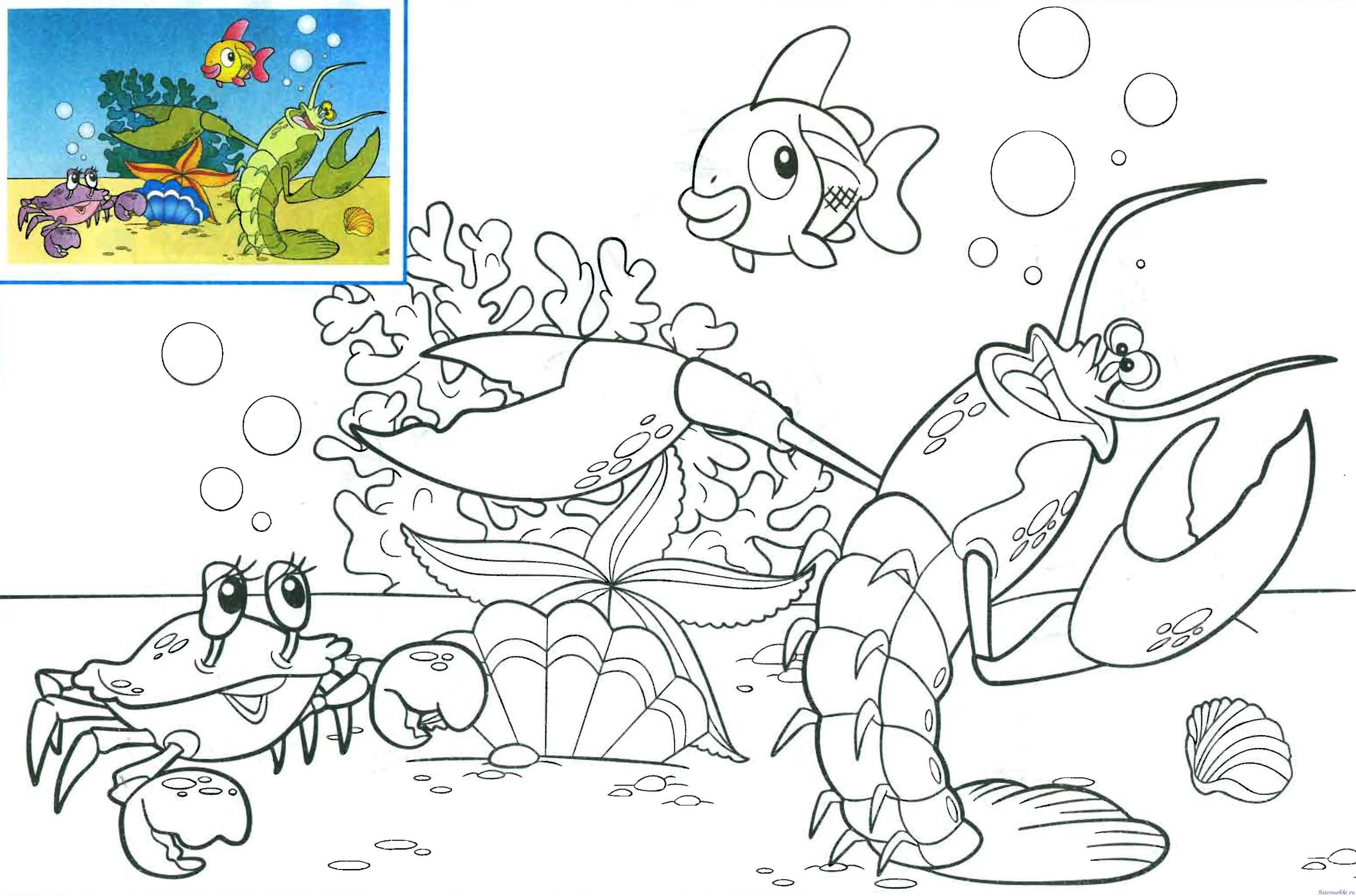 Подводный мир животных. Раскраски для детей. Раскрась акулу.