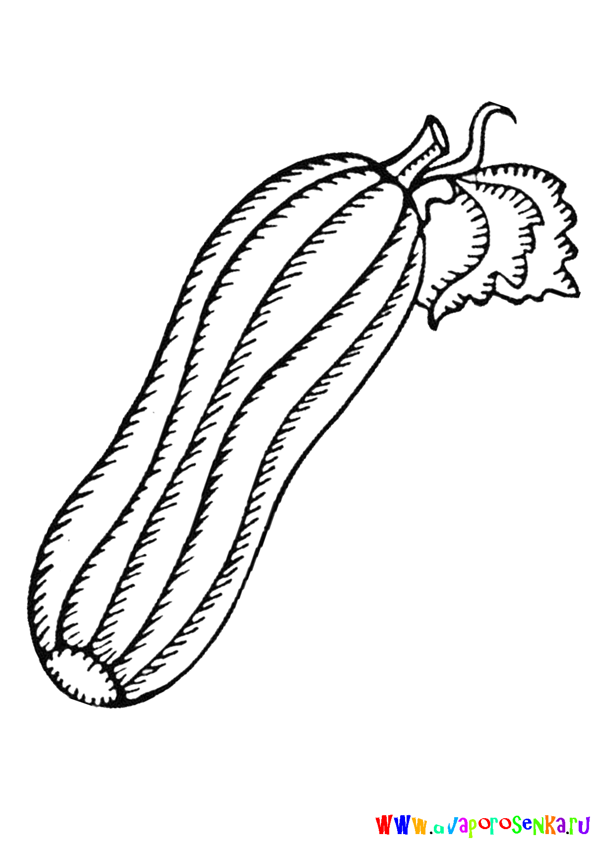 Изучаем овощи. Разукрась овощи. Раскраска для детей про овощи.