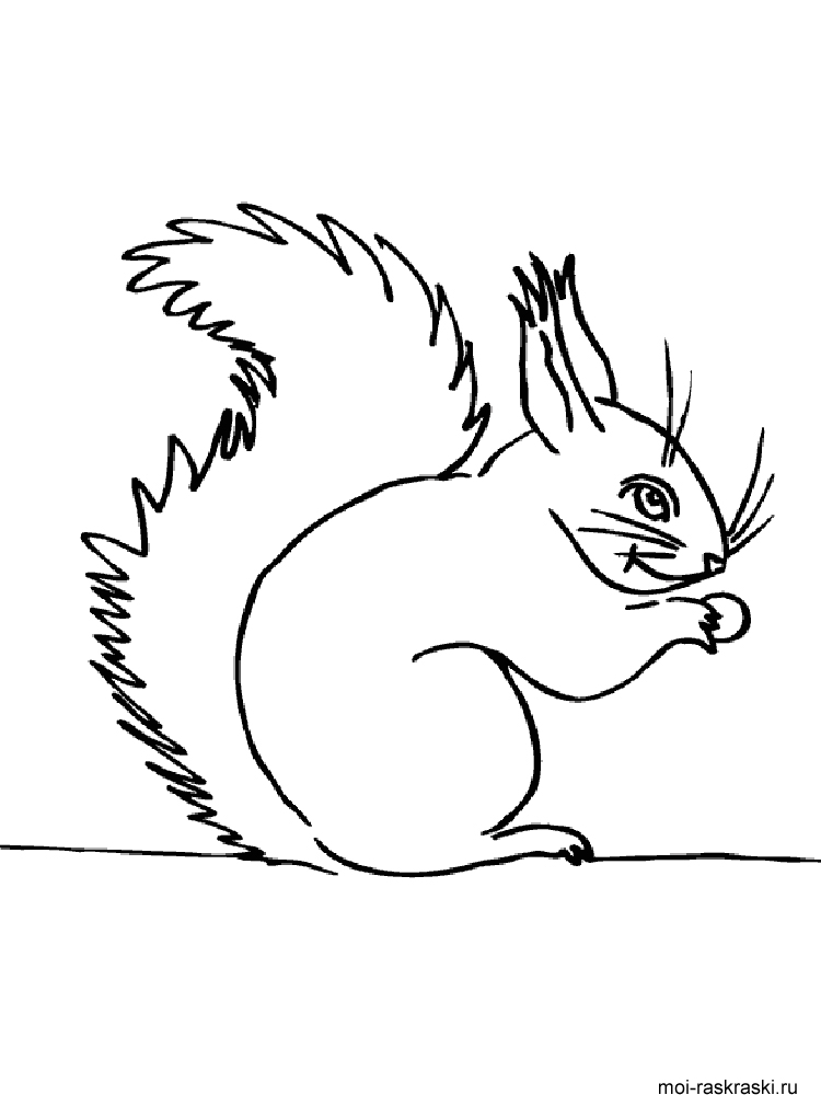 Раскраска обитатели леса. Обучающая раскраска про животных . 