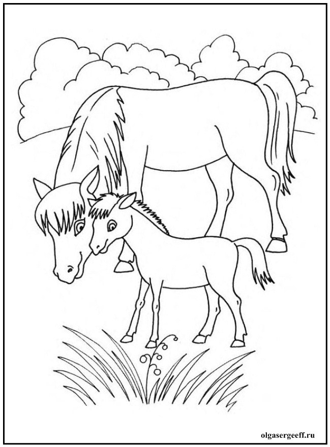 Раскраски для детей животные и их детеныши. Животное и его ребенок.