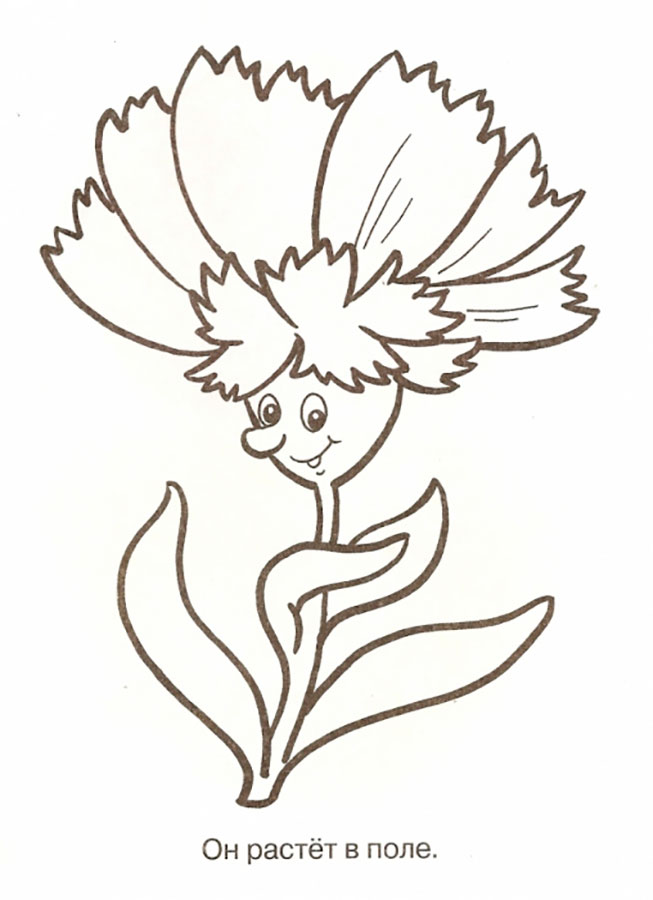 Раскраски для детей дошкольного возраста, изучаем цветы.    