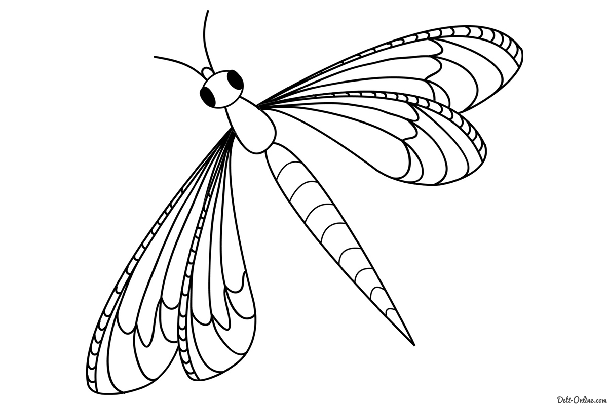 Раскраски насекомые. Насекомые на нашей улице.               