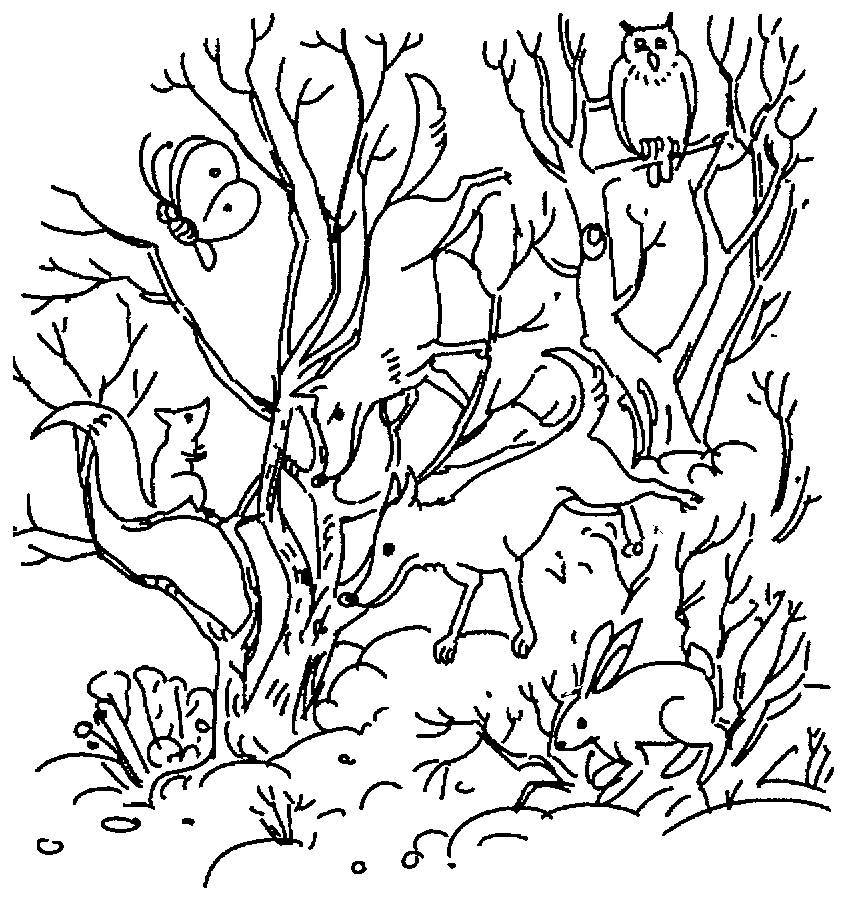 Обучающая раскраска для детей под названием Кто спрятался на картинке?